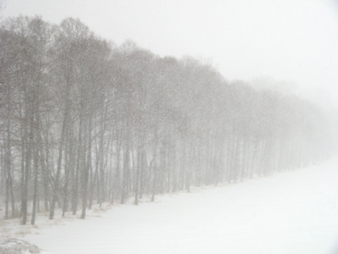 昨日の夜からずっと吹雪